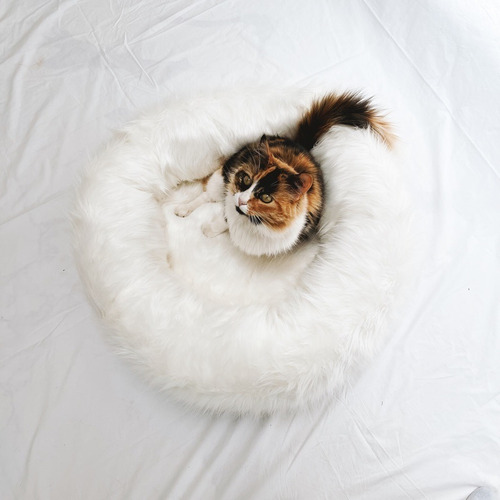 Imagen 2 de 4 de Cama Para Gatos Peluche