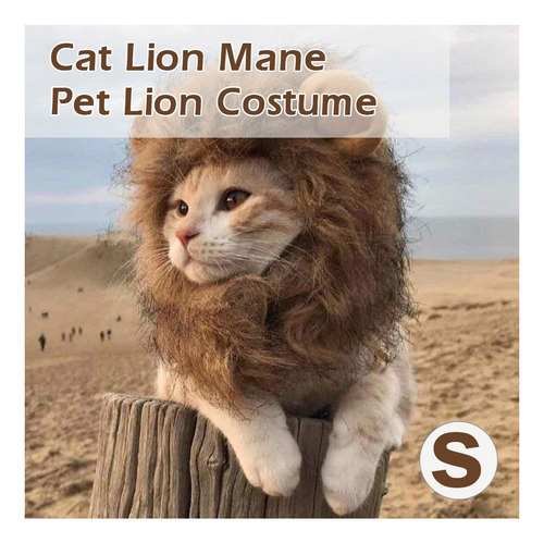 Gato Lion Mane Mascota León Disfraz Mascota León Pelo