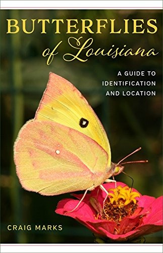 Butterflies Of Louisiana A Guide To Identification And Locat
