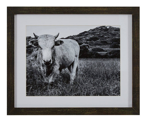 Modern Black And White Photo Of Bull Wall Art  In Charc...