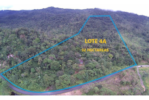 Imagen 5 de 23 de Finca 32 Has/lotes De 3 Has