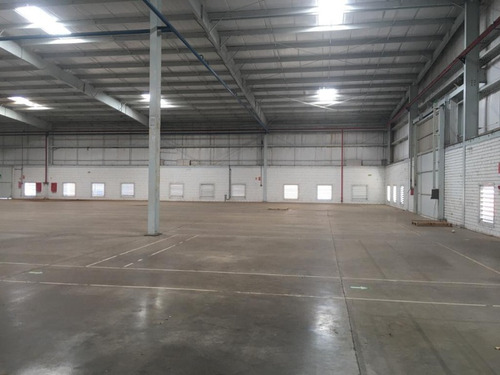 Imagem 9 de 22 de Galpão Logístico Para Locação Em Teutônia, Rs, Com Vocação Industrial Ou Logístico, Junto A Rs128, Pé Direito De 6,5m, Piso Industrial - Cl2126 - 70590855