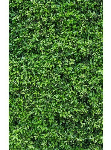 Papel De Parede Jardim Vertical Natureza 306pc_2.40lx3.80a