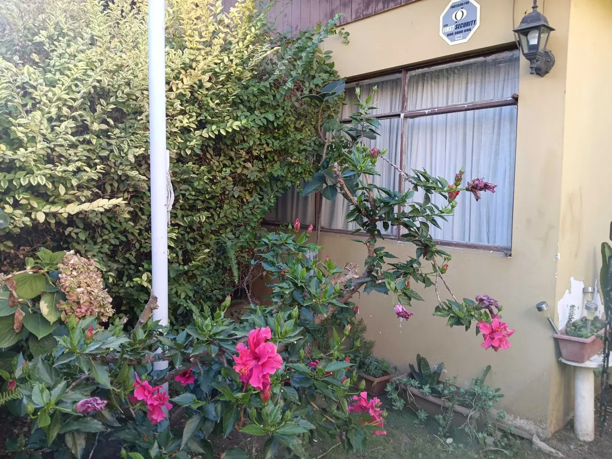 Imagen 2 de 26 de Casa, 1 Piso, 3 D 1 B, Sala Estar, Patio (155581)