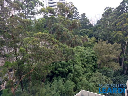 Imagem 14 de 15 de Apartamento - Morumbi - Sp - 638600