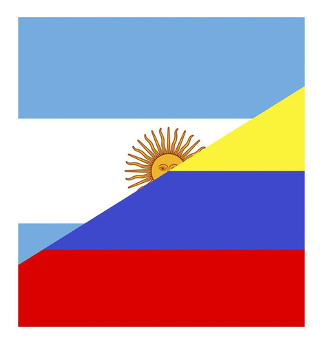 Vinilo 20x20cm Bandera Colombia Con Argentina Unidos