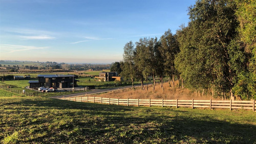 Linea Nueva / Rancho Lomas Verdes