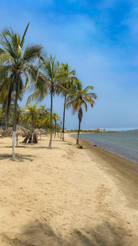 Imagen 12 de 12 de Relajante Apartamento En Alquiler Vacacional Lecheria Conjunto Residencial Doral Beach