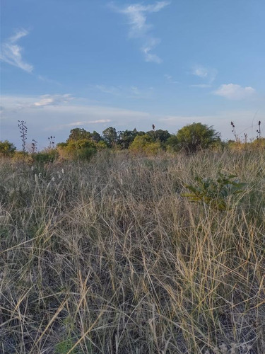 Imagen 3 de 9 de Campo En Sarandi (zona Esceula N° 17)