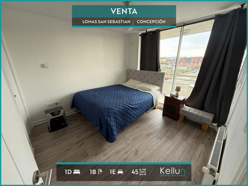 Departamento En Venta 1d | 1b | 1e En Lomas San Sebastian