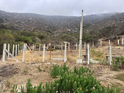 Imagen 4 de 10 de Zapallar / Punta Pite