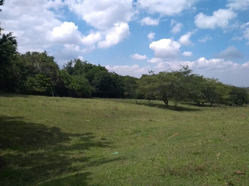 La Buitrera - Lote En Venta (palmira Valle Del Cauca)