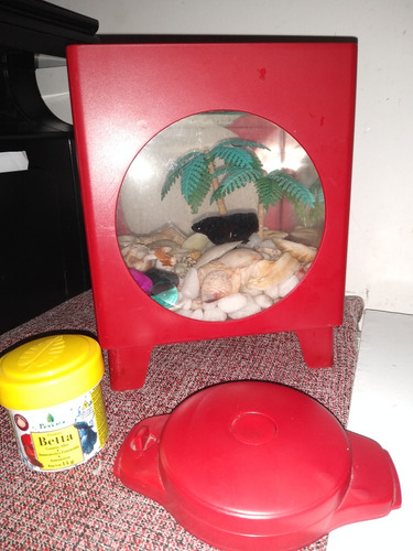 Peixe Beta + Kit Completo Com Aquário Usado