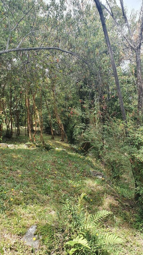 Lindo Terreno En Lago Rupanco, Con Embarcadero.