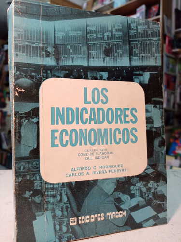 Indicadores Economicos   Rodriguez Y Rivera Pereyra -tt -990