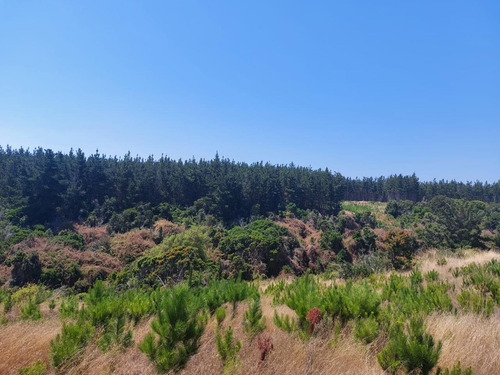 Oportunidad Venta De Parcela Pichilemu Playa Monaco