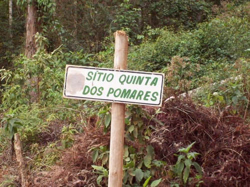 Imagem 12 de 14 de Lindo Sítio Em Localização Privilegiada! Oportunidade. - 2000165