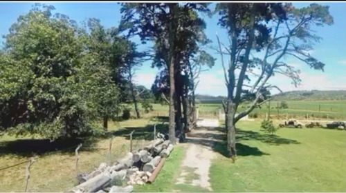 Imagen 11 de 12 de Excelente Campo En Sierra De Los Padres