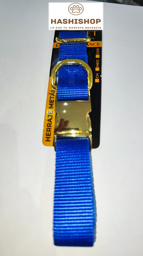 Collar Para Perro Mascota Cachorro Herraje Metalico Oro (Usado)