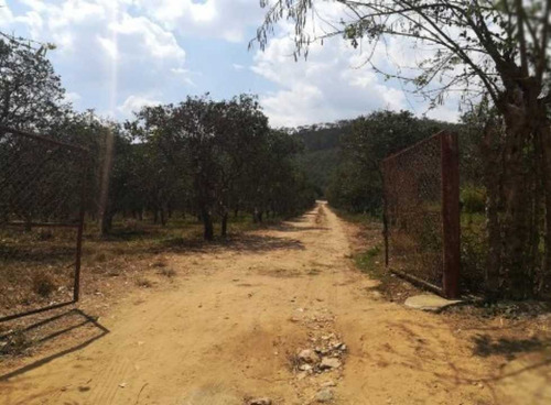 Imagen 2 de 8 de Finca De 10 Hectáreas En Miranda