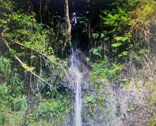 Espectacular Loteo Con Sitios En Venta En Lago Colico- Cunco