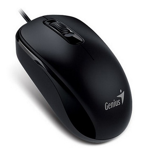 Mouse Genius Dx-110 Usb Negro Suave