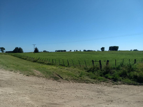 Terrenos En Venta - 4800mts2 - Rolon