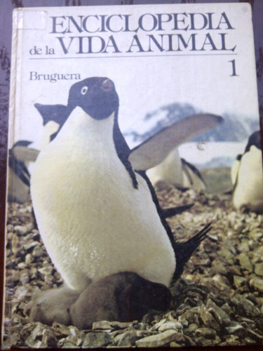 Libro Enciclopedia De La Vida Animal 1