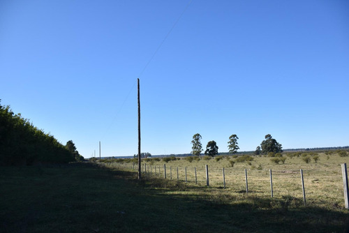 Imagen 22 de 22 de Campo Mixto En Venta Estación Yeruá