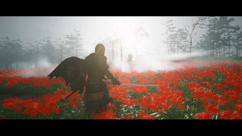 Ghost Of Tsushima Ps4 Formato Físico Original (Usado)