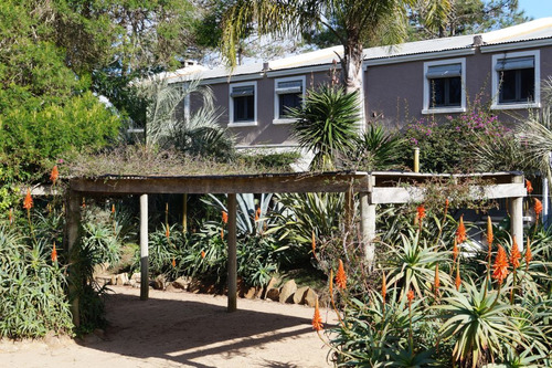 Posada Del Corumbá Cabañas/apartamentos Dúplex En La Paloma