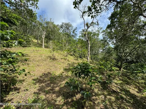 Casa En Vereda Calandaima Rah Co: 25-1128