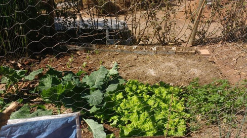 Imagem 5 de 14 de Chácara Para Venda Em Itatiaiuçu, Morro Do Peão, 3 Dormitórios, 1 Banheiro, 3 Vagas - 70224_2-814103