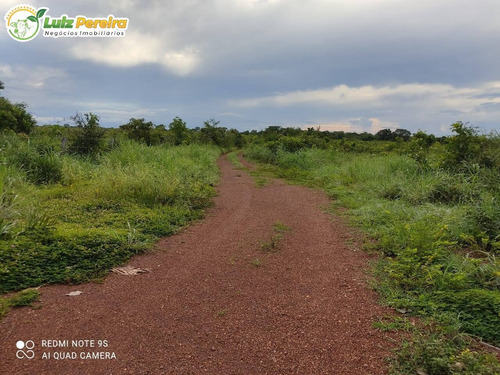 Imagem 12 de 15 de Fazenda Em Breu Branco - Pa - 2.584,56 Hectares (dupla Aptidão) - 2158
