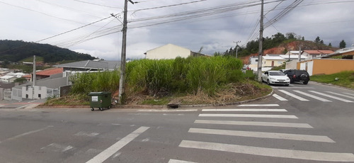 Imagem 5 de 6 de Terreno De Esquina 297m² No Loteamento Jardins Palhoça Sc Com Viabilidade Residencial. - Sc - Te0026_heli