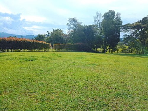 Lote Para Venta En Rionegro Sector Llano Grande Santa Lucia (20769).