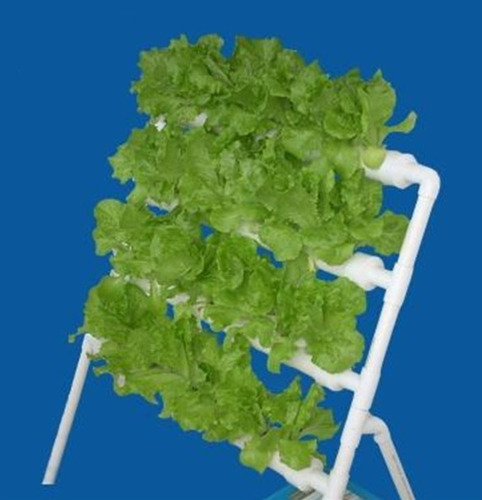 T - Sistema Hidroponía Nft 36 Plantas