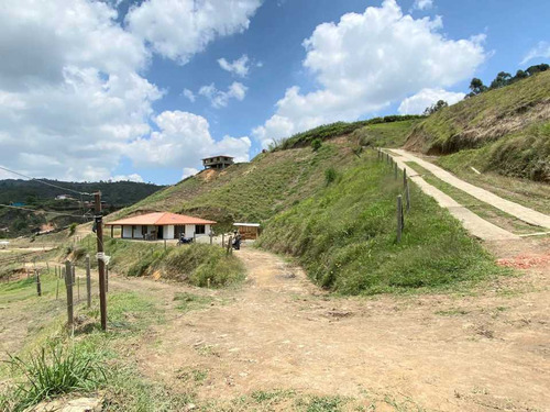 Casa Finca En Venta En San Vicente Ferrer.