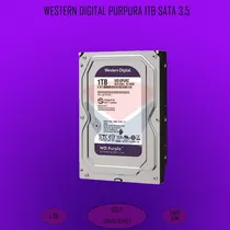 Comprar Disco Duro Interno Western Digital Purple 1t Ideal Dvr Video Color Púrpura