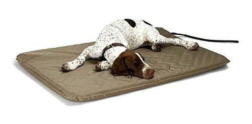 Kyh Productos Para Mascotas Cama Para Mascotas Con Calefacci