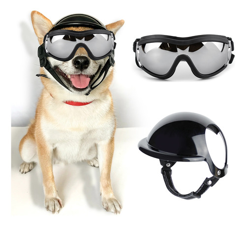 Casco Y Gafas De Sol Para Perros