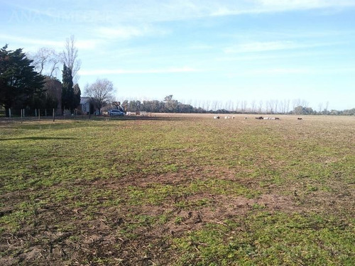 Naves Llave En Mano A Estrenar En Recinto Ind. Cerrado