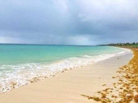 Imagen 23 de 30 de Terreno Con Playa, Bahia Petempich, Pto. Morelos, Quintana R