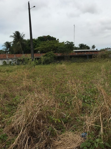 Imagem 4 de 5 de Terreno Para Alugar Na Cidade De Caucaia-ce - L10498