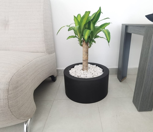 Imagen 6 de 7 de Maceta Minimalista Cilindro Mejor Que Fibra De Vidrio .93