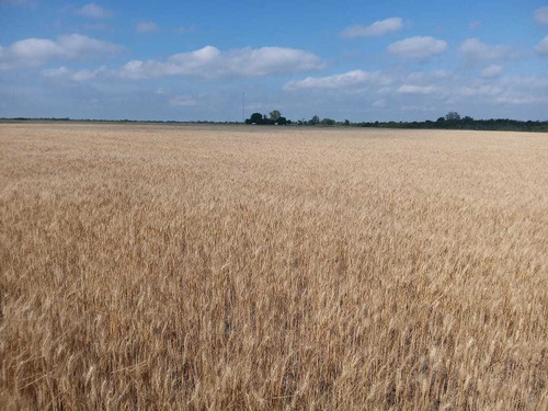 Imagen 6 de 11 de Vendo Campo En La Paz Entre Ríos