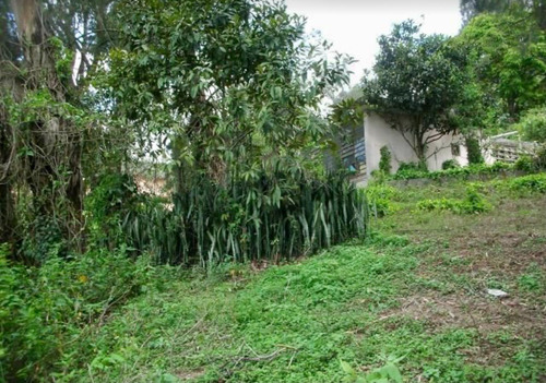 Imagen 4 de 6 de Vendo Terreno Sector El Corralito Carrizal