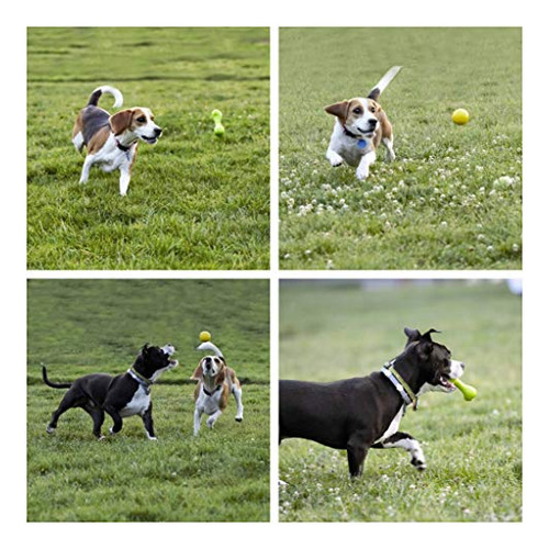 Juguetes Masticables Perros - Juego 8, Cuerdas, Cachorros