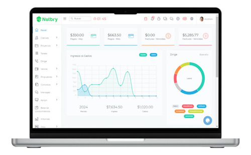 Desarrollo Web Gestión De Proyectos Crm
