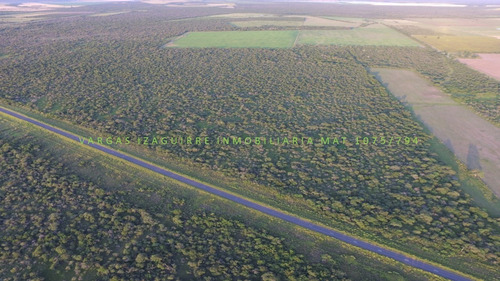 Imagen 5 de 10 de Campo Ganadero Sobre Ruta 6 Ganadero 79 Ha Monte Entre Rios